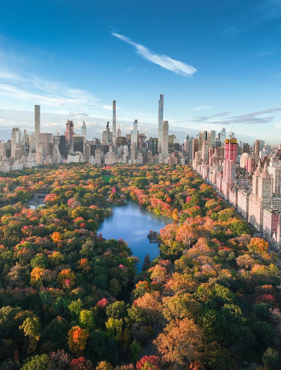 Central Park New York autumn (photo 3 of 4)