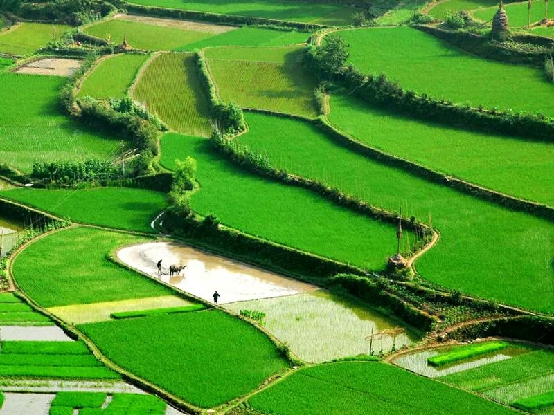 Timeless villages with white walls and green hills (photo 3 of 4)