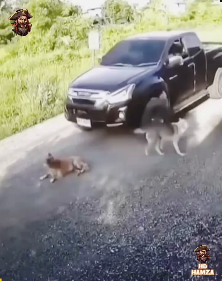 viral moments caught on camera viral moments caught on camera