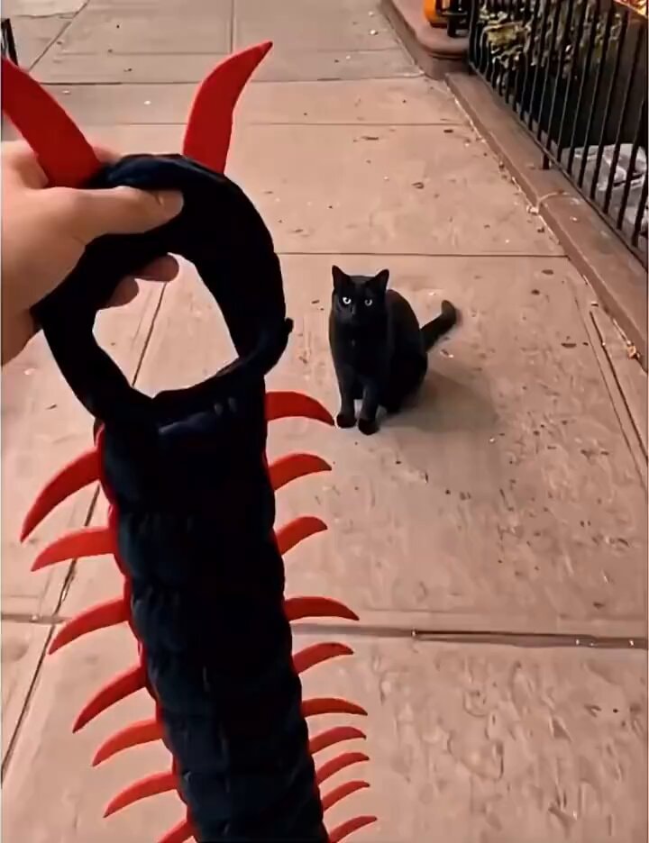 centipede costume devil horns