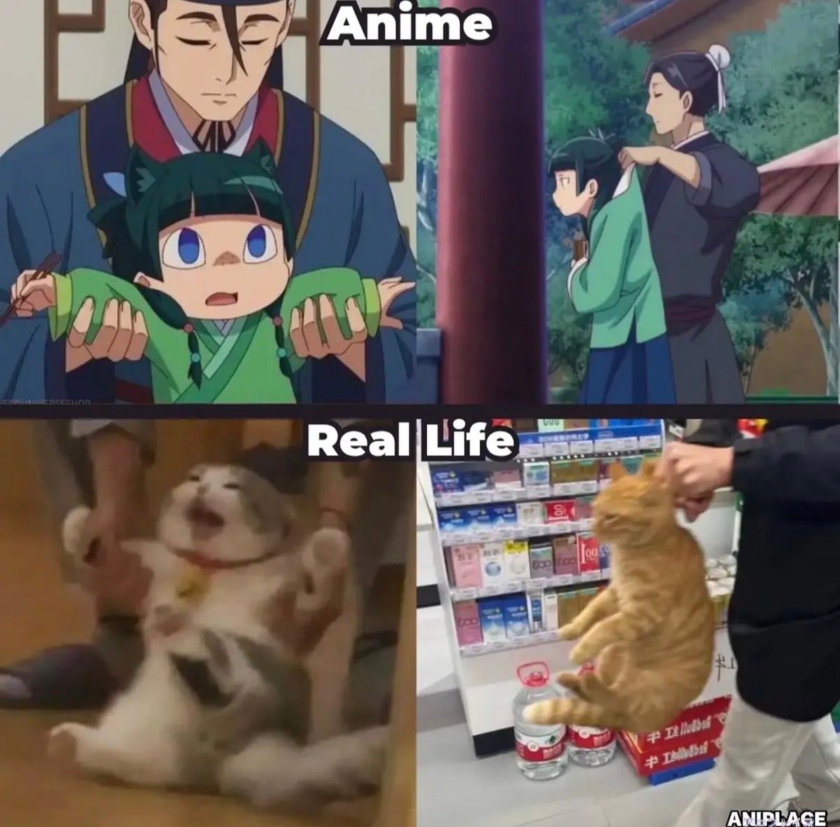 anime to real life comparison
