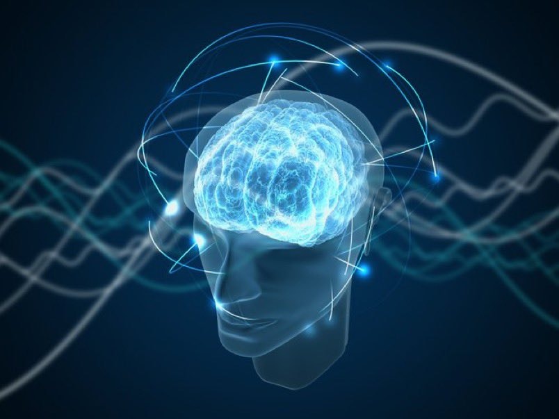 consciousness hidden brain pathway