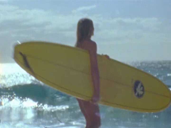 Summery life with a surfboard