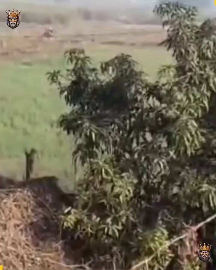 funny moments caught on camera