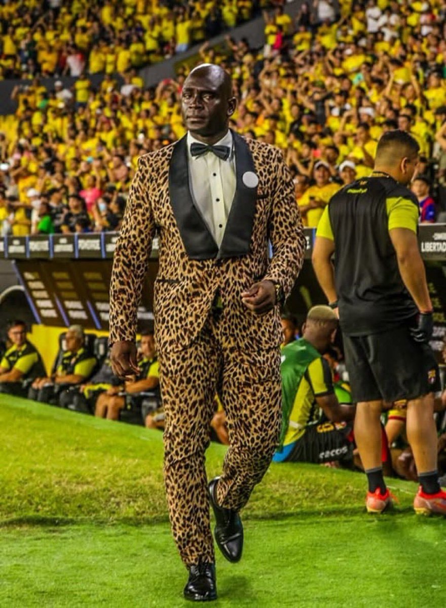 Leopard-print tuxedo at packed stadium Leopard-print tuxedo at packed stadium