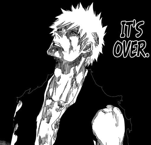 Bleach manga final chapter