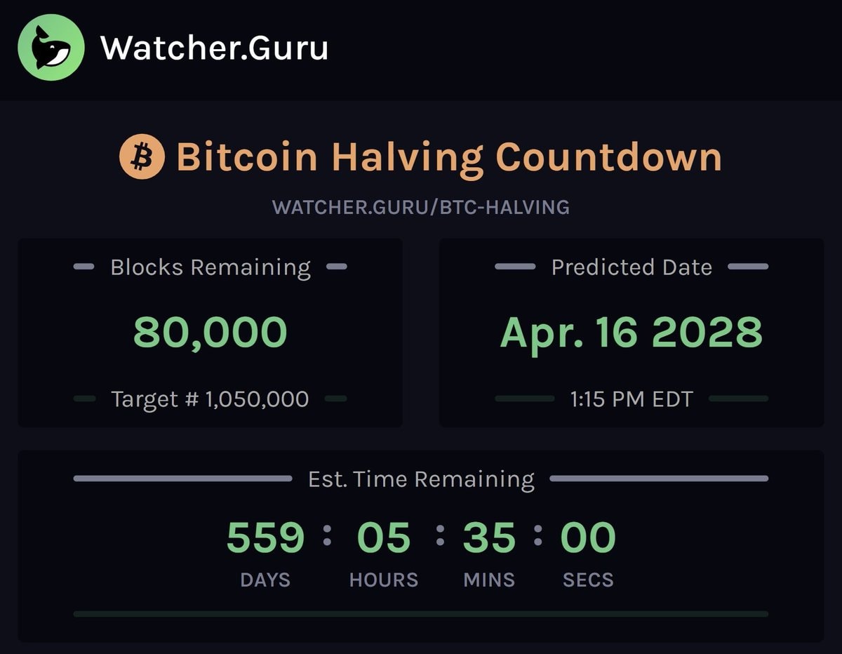 Bitcoin Halving countdown