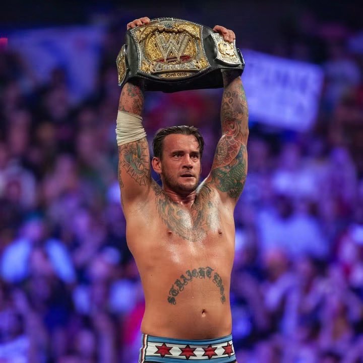 CM Punk vs John Cena Money In The Bank 2011 (photo 2 of 4)