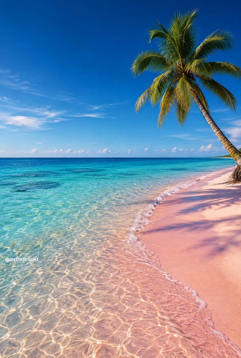 serene turquoise beach with pink sand