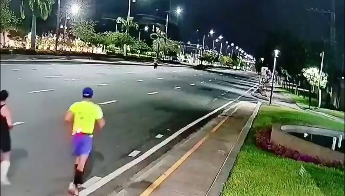 Mónica Andrea Martinich hit-and-run Ecuador