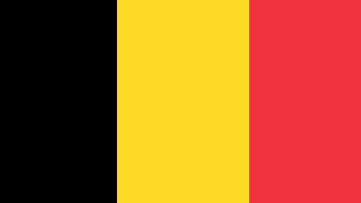 Spain vs Belgium match (photo 2 of 2)