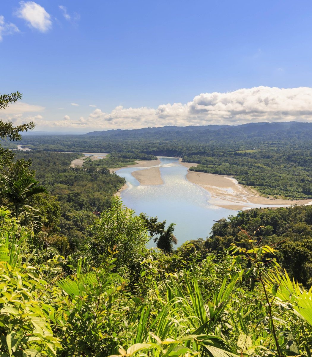 Amazon crackdown Bolivia Brazil (photo 1 of 2)