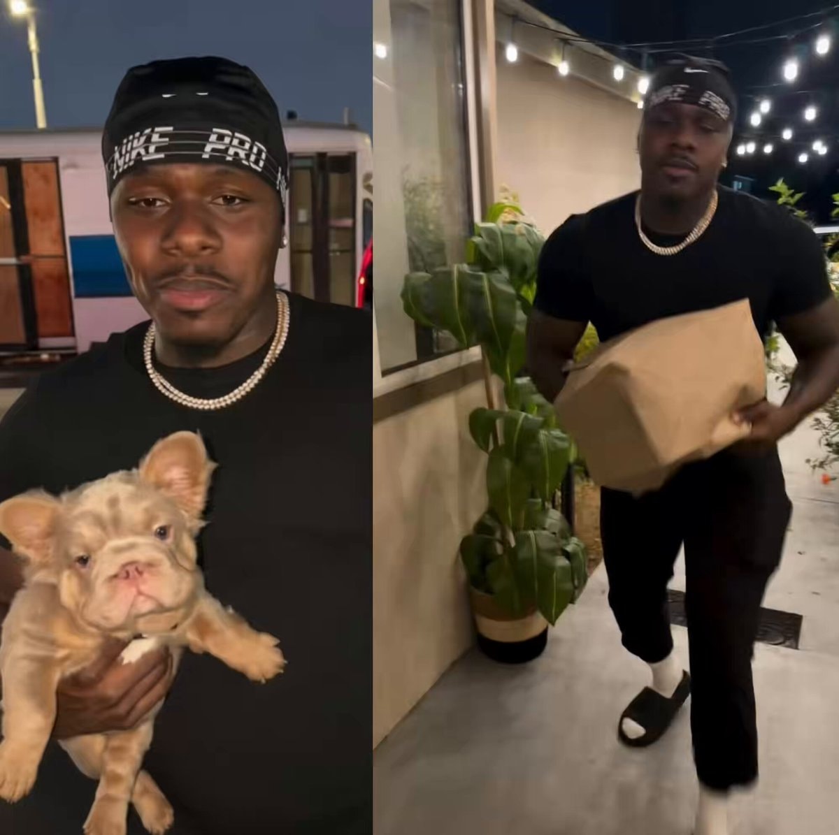 DaBaby daughter French bulldog birthday gift