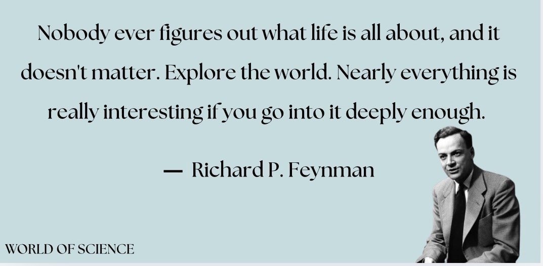 Richard Feynman quote on life