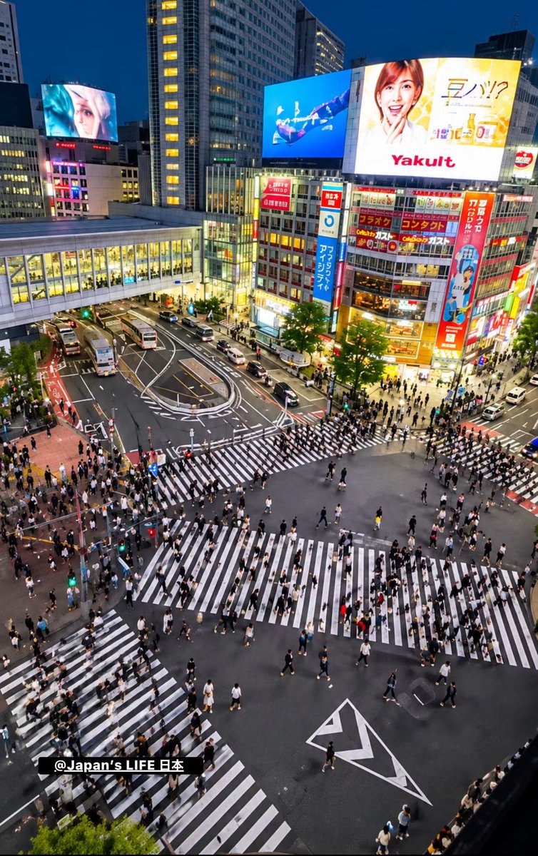 Shibuya Crossing Japan