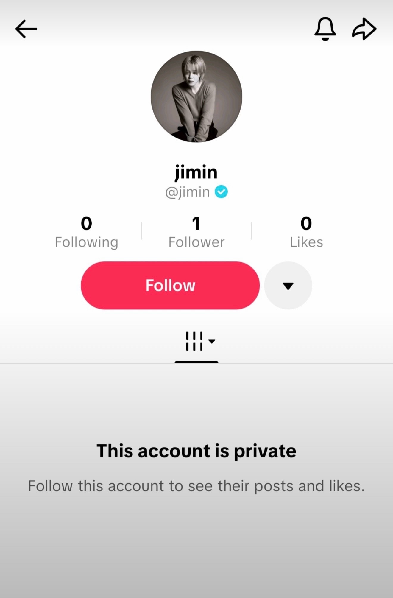 Jimin private TikTok account rumor