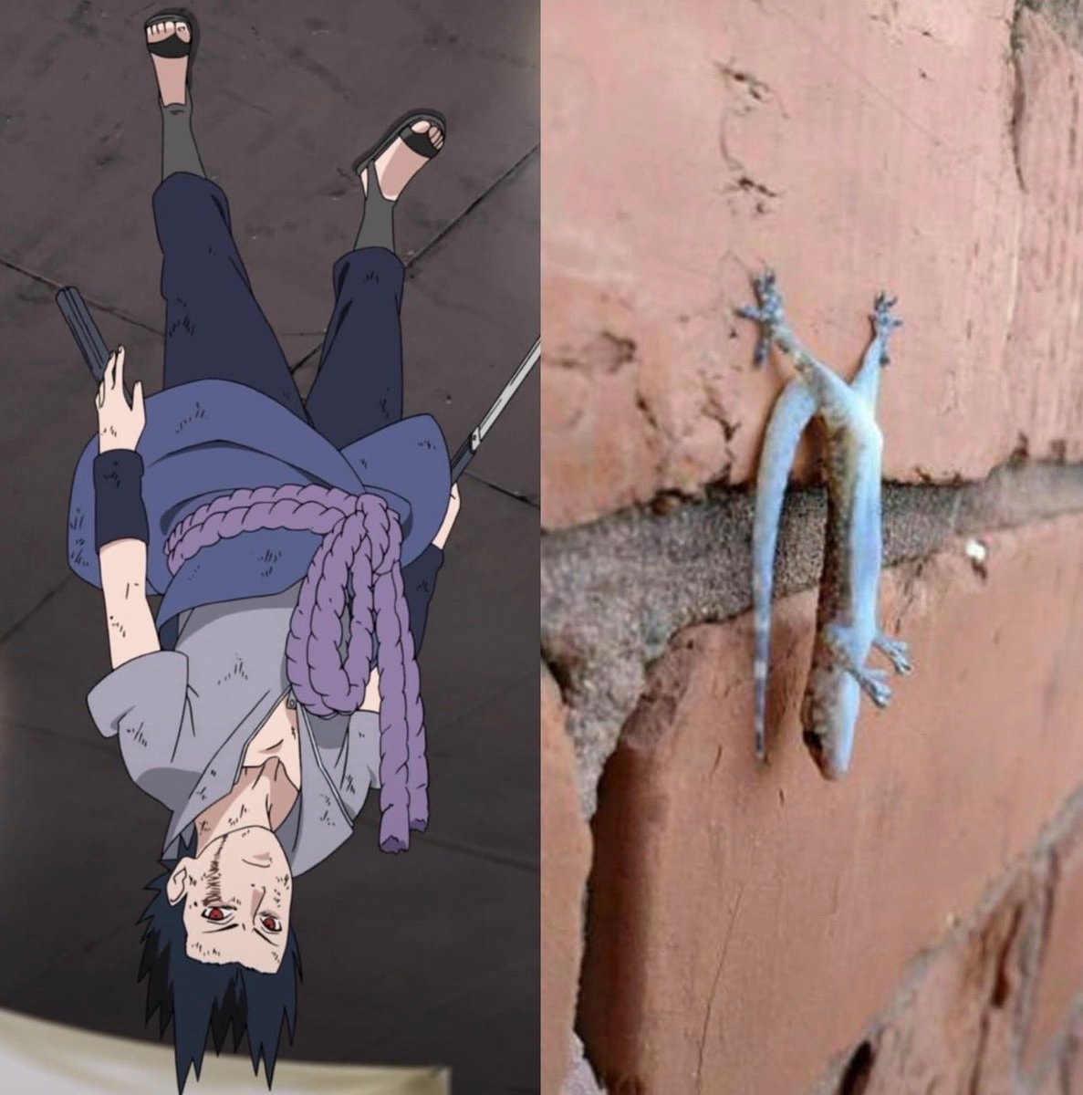 anime character meme energy