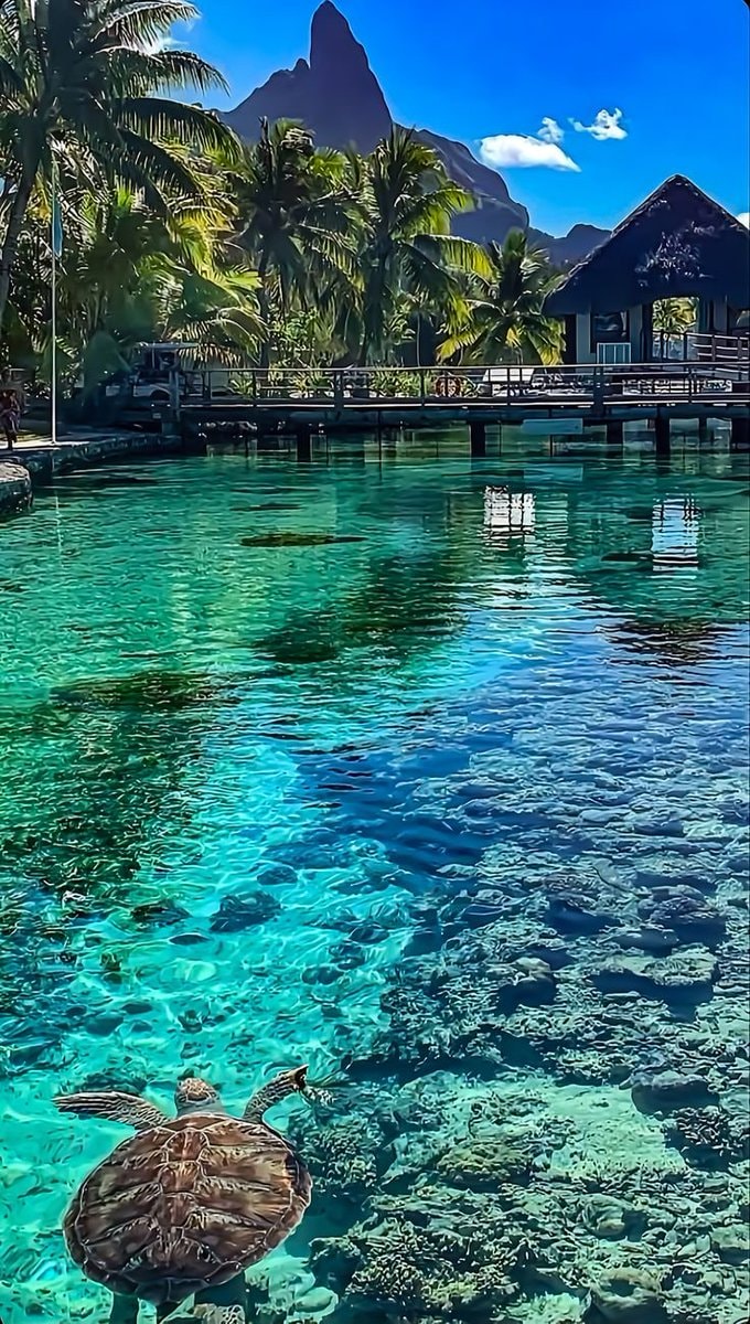 Bora Bora French Polynesia (photo 2 of 2)
