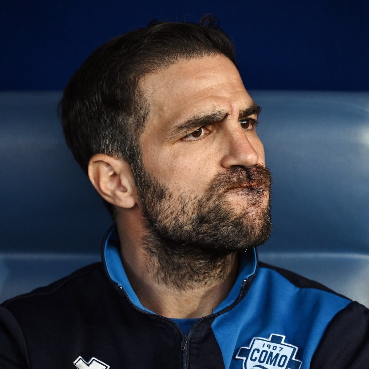 Cesc Fàbregas defends Michael Carrick