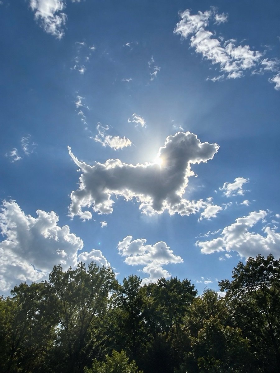 dachshund cloud formation