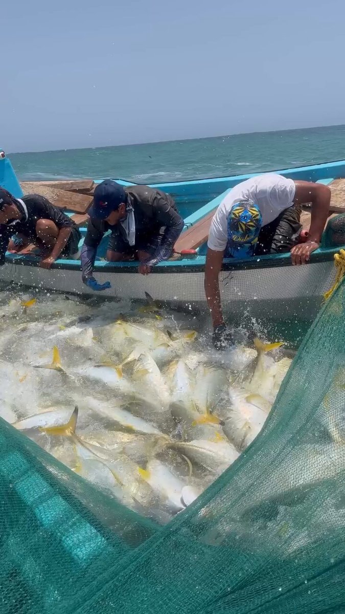 Fishermen hauling in a big catch