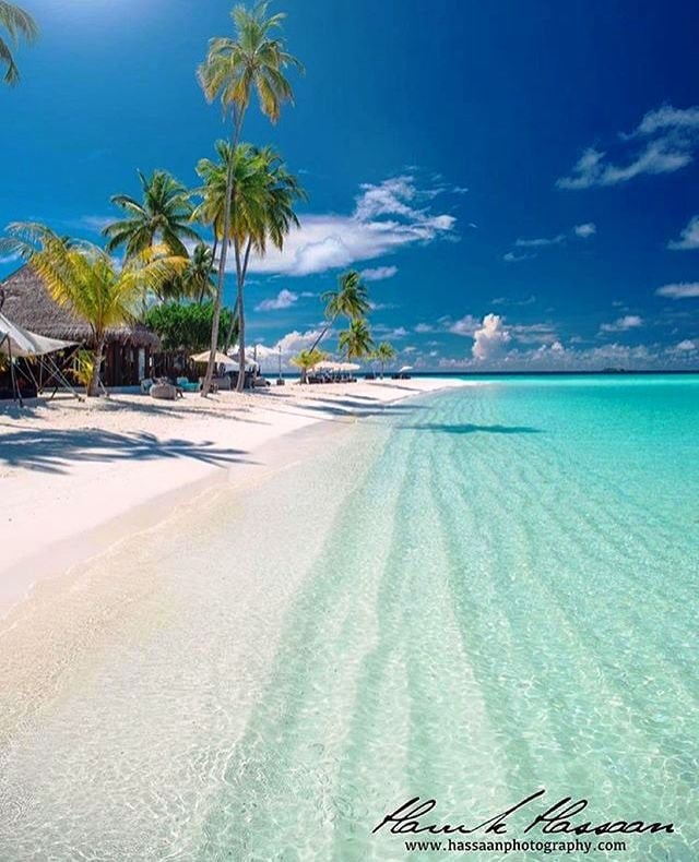 Maldives classical beauty Maldives classical beauty