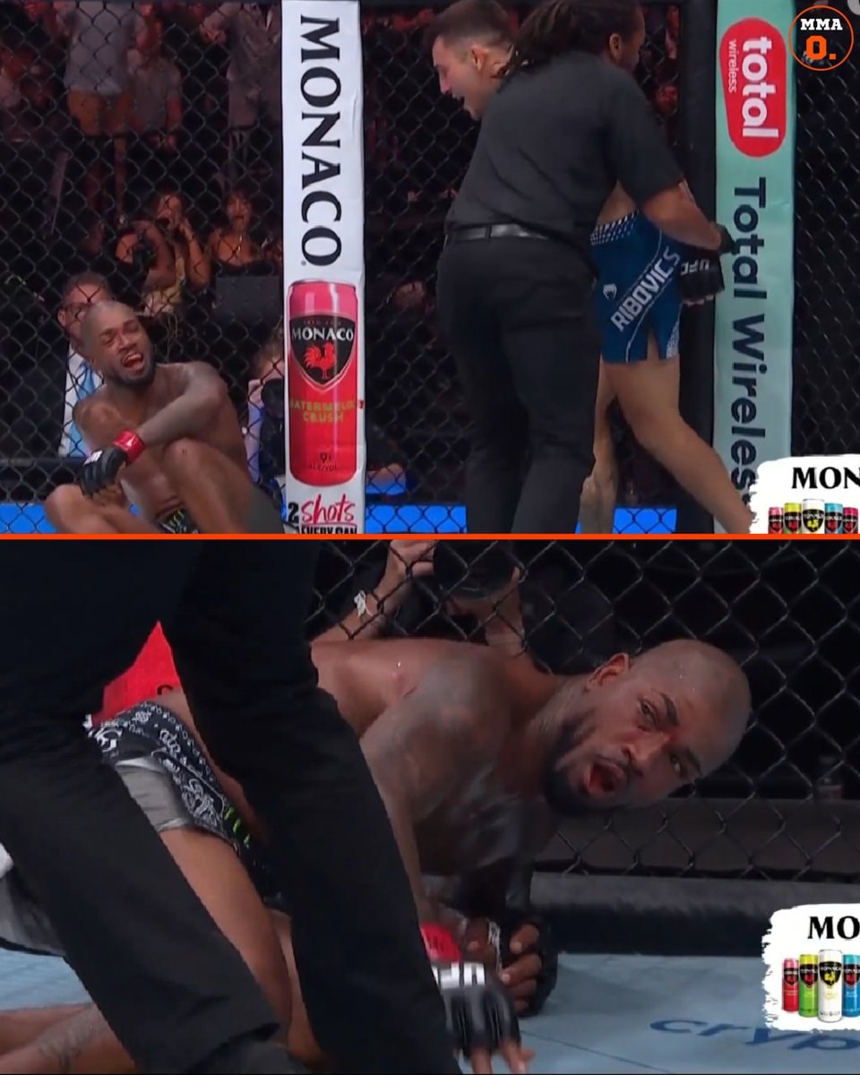 ESTEBAN RIBOVICS vs KING GREEN UFC332