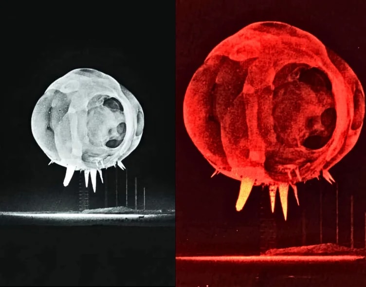 nuclear explosion under one millisecond