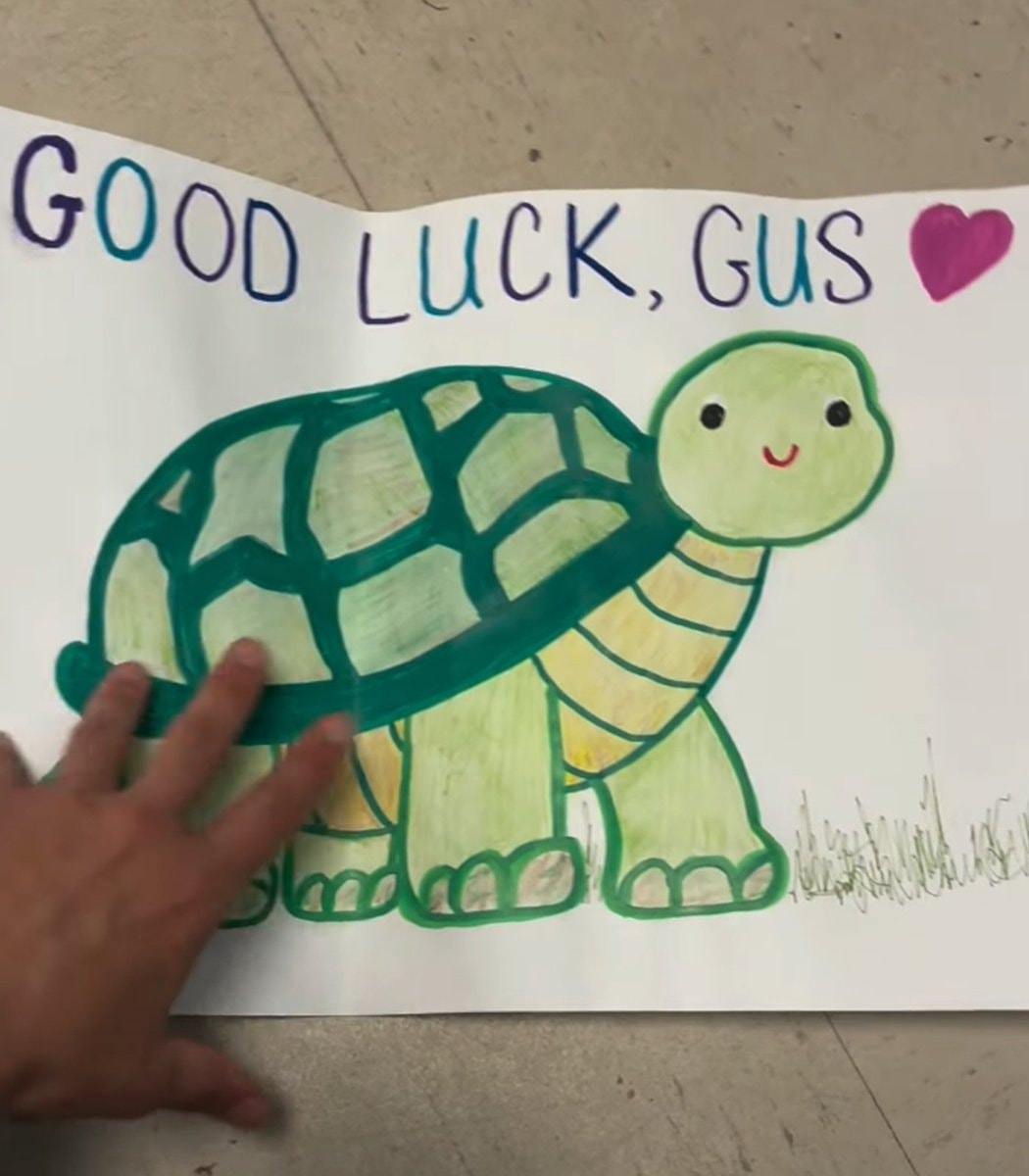 Gus the world's oldest gopher turtle (photo 4 of 4)