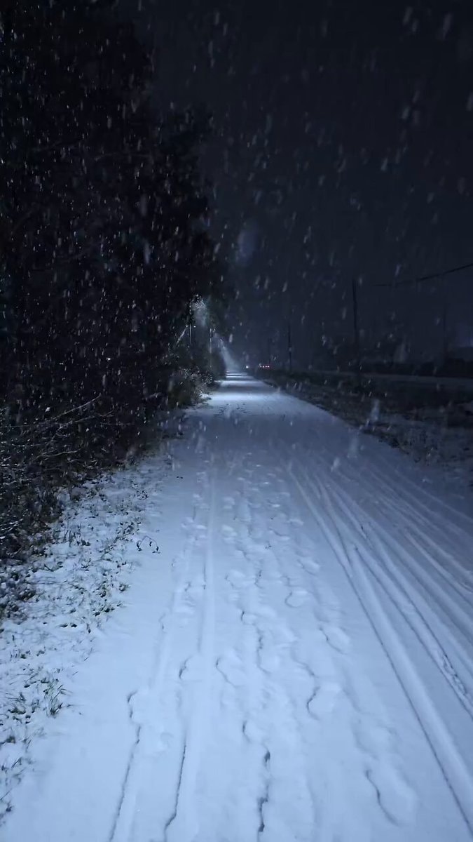 winter snow path night
