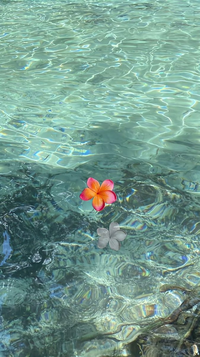sea serenity (photo 2 of 4)