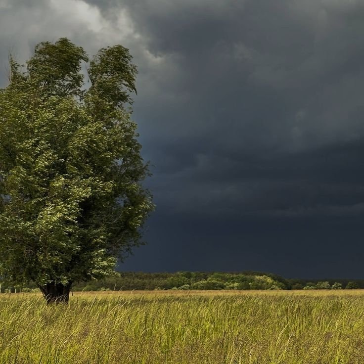 gloomy weather landscape (photo 2 of 3)