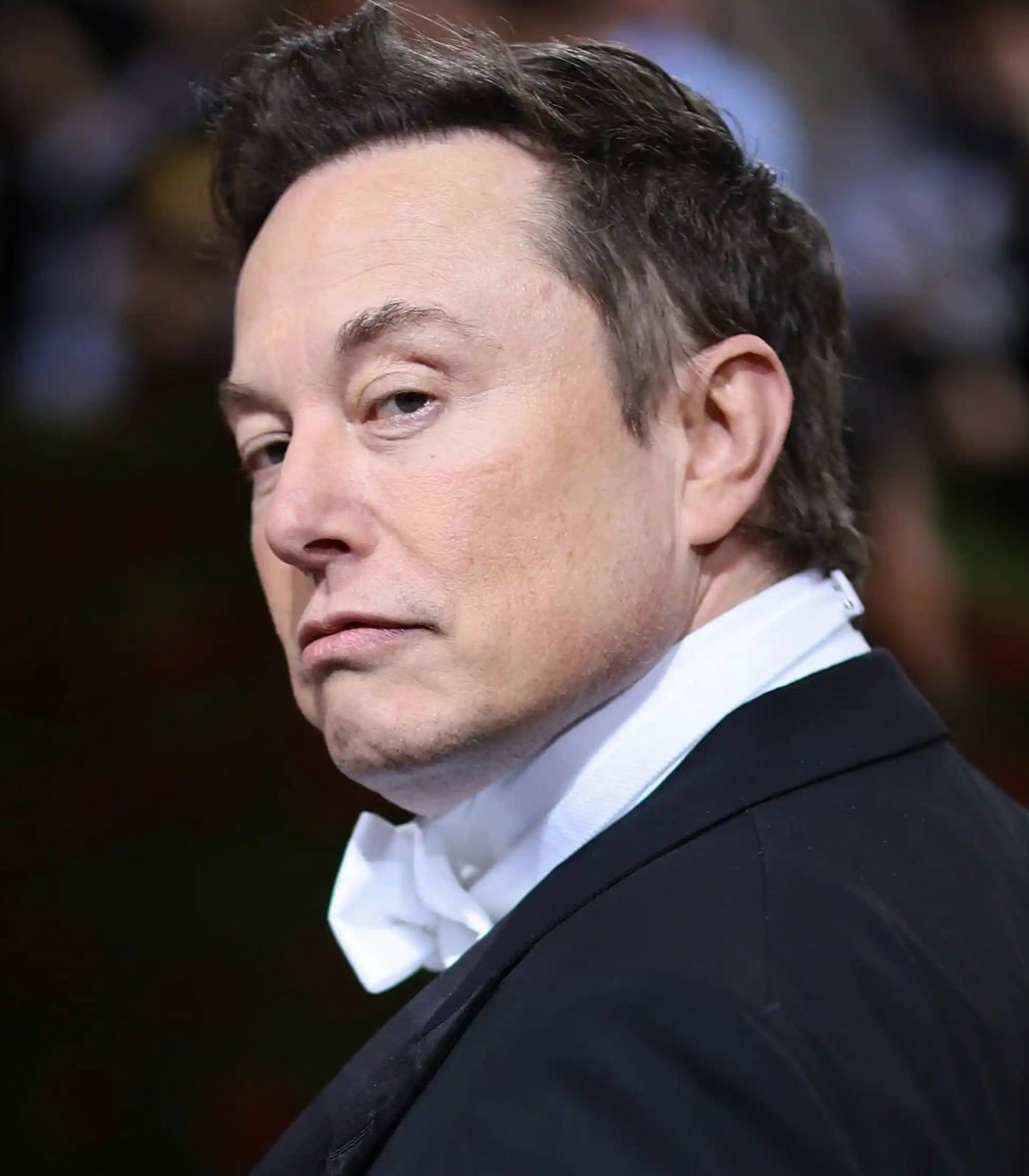 Elon Musk Paramount investment