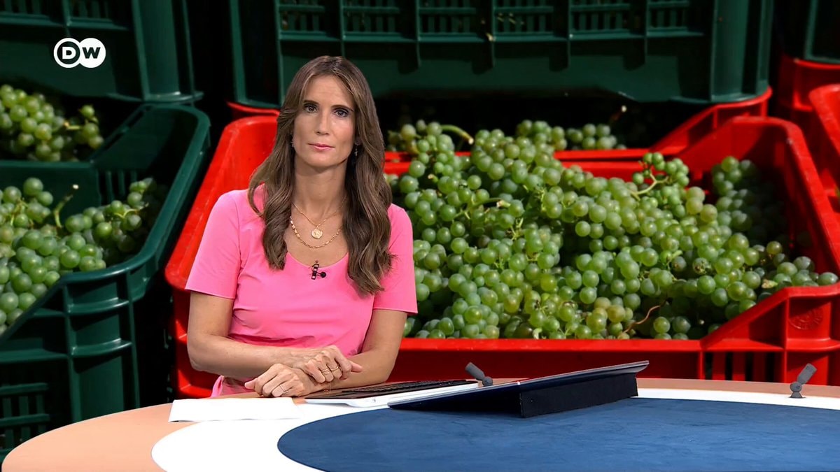 Italy wine harvest earliest ever