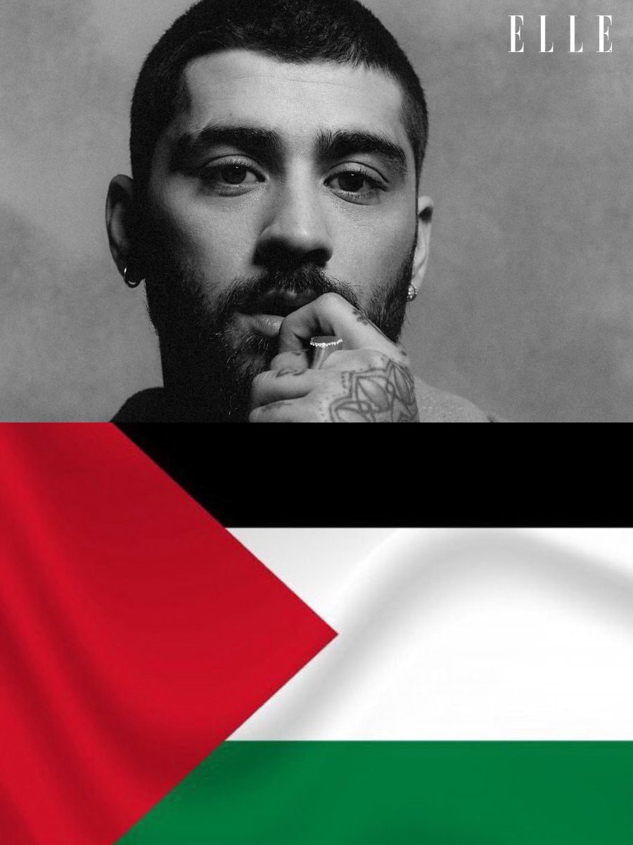 Zayn Malik 2014 Palestine post