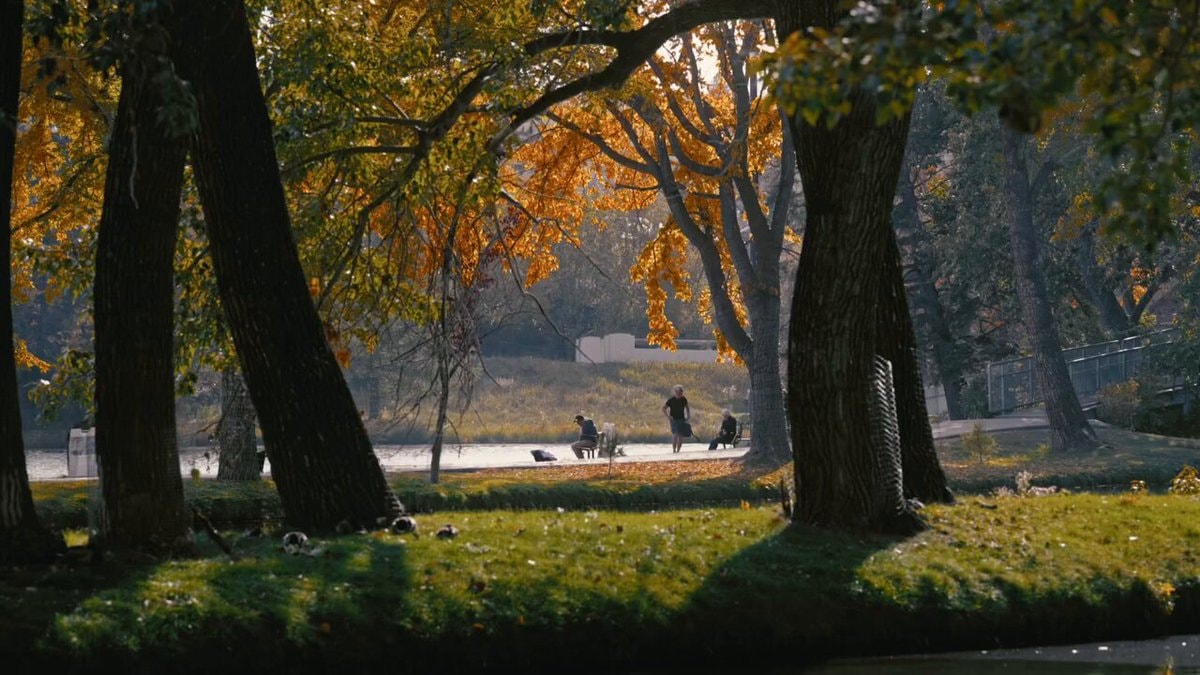 Sunny autumn day in the park