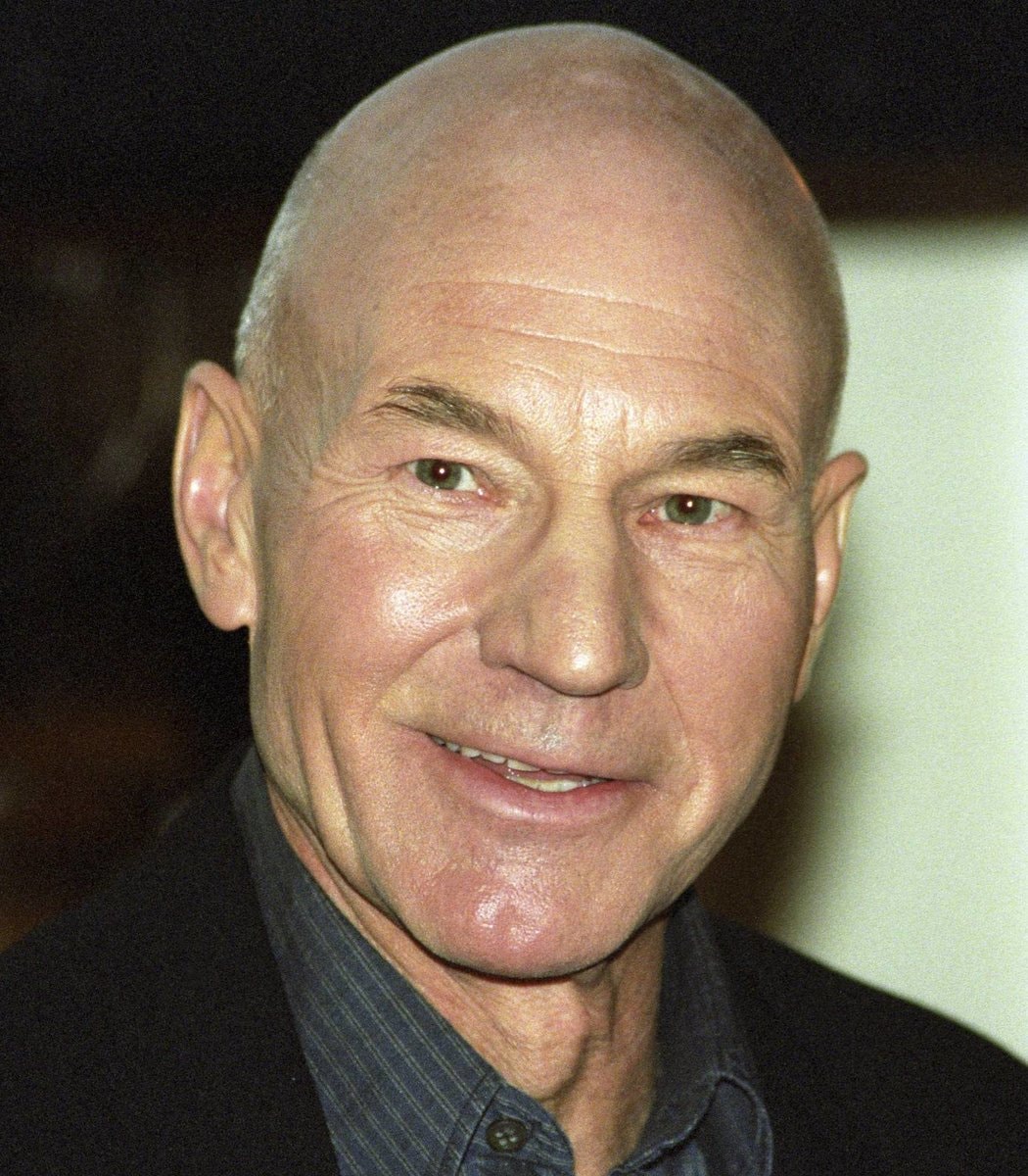 Sir Patrick Stewart portrait (photo 4 of 4) Sir Patrick Stewart portrait (photo 4 of 4)