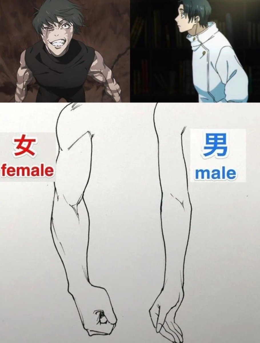 anime meme anatomy comparison anime meme anatomy comparison