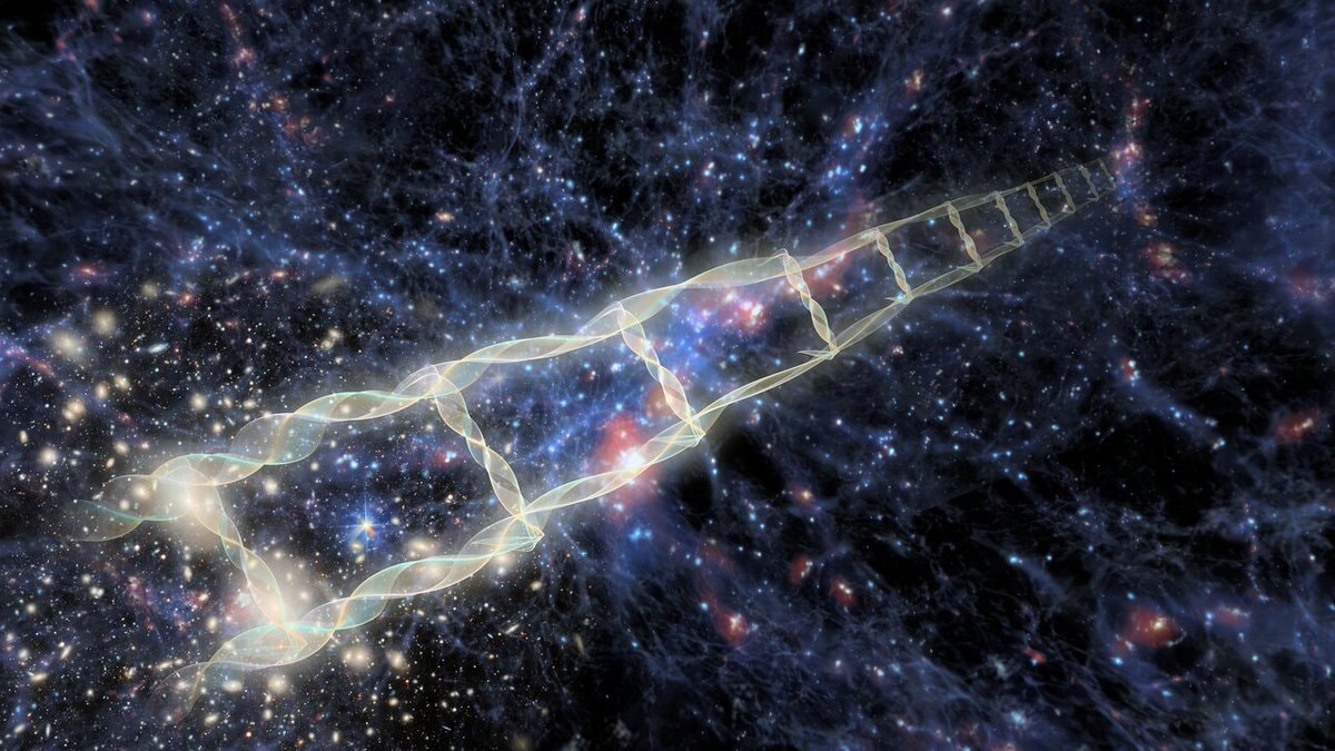 Darkness travels faster than light (photo 2 of 2)