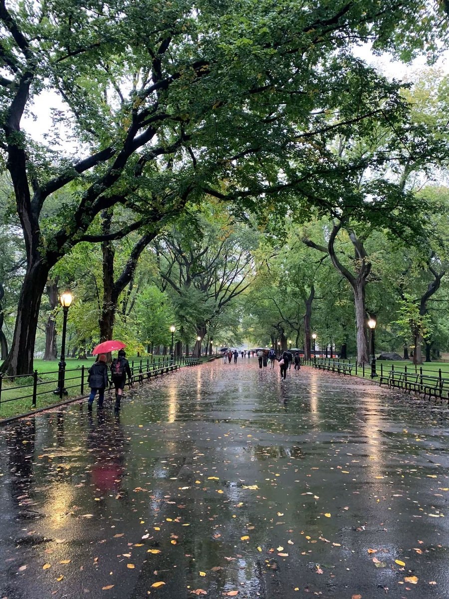 Central Park after rain