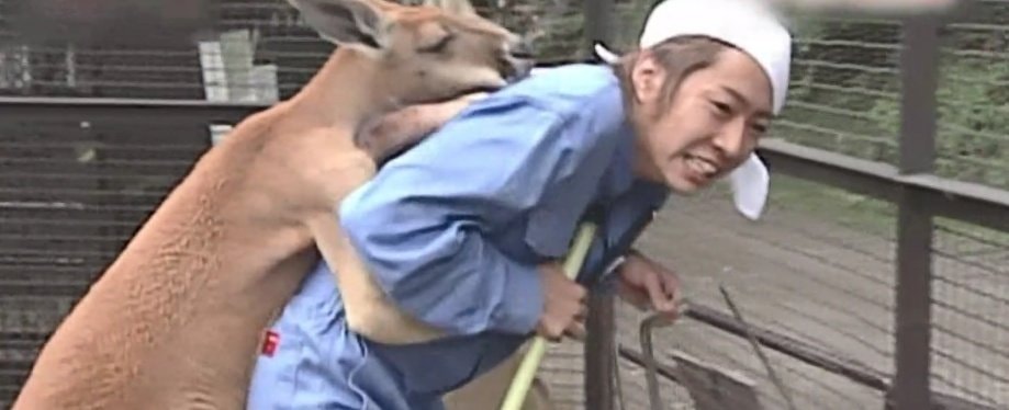 Man hugged by kangaroo