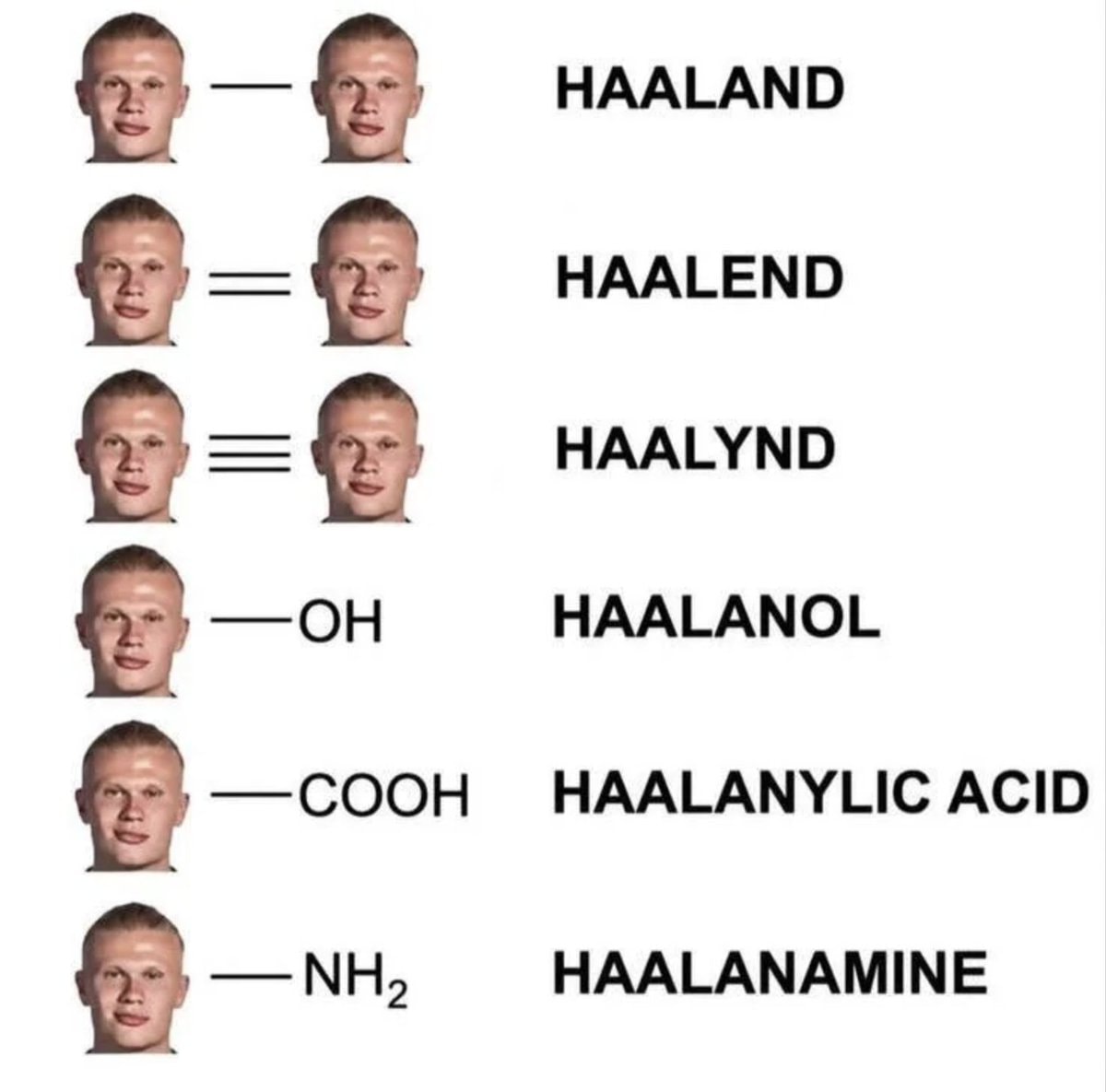 Haaland Organic Chemistry meme