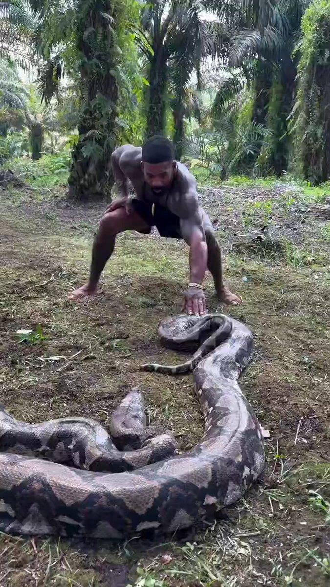 ImTarzan vs Anaconda
