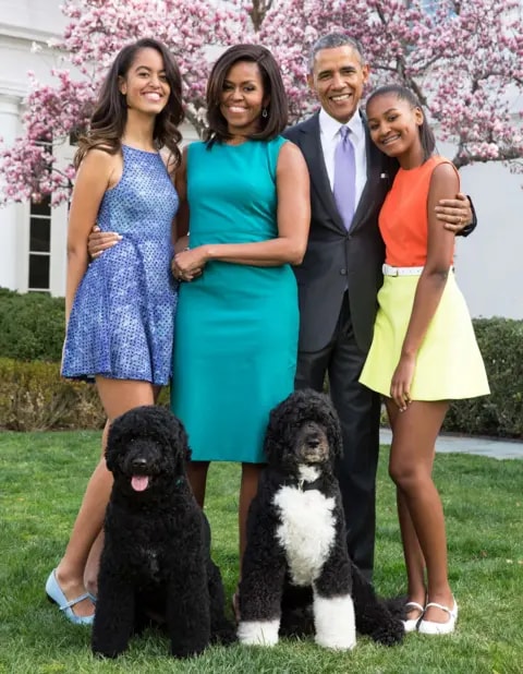 Obama family dog Sunny (photo 2 of 2)