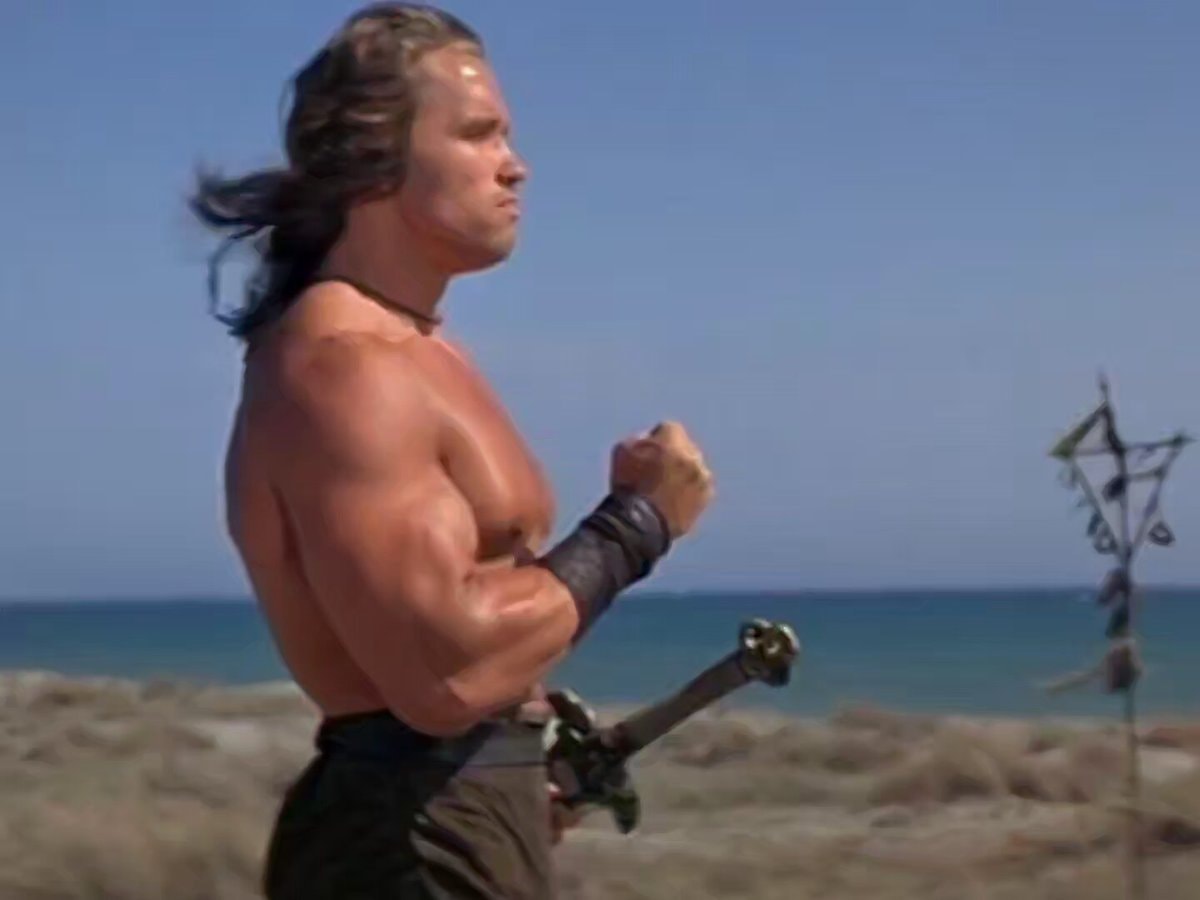 Arnold Schwarzenegger Conan the Barbarian