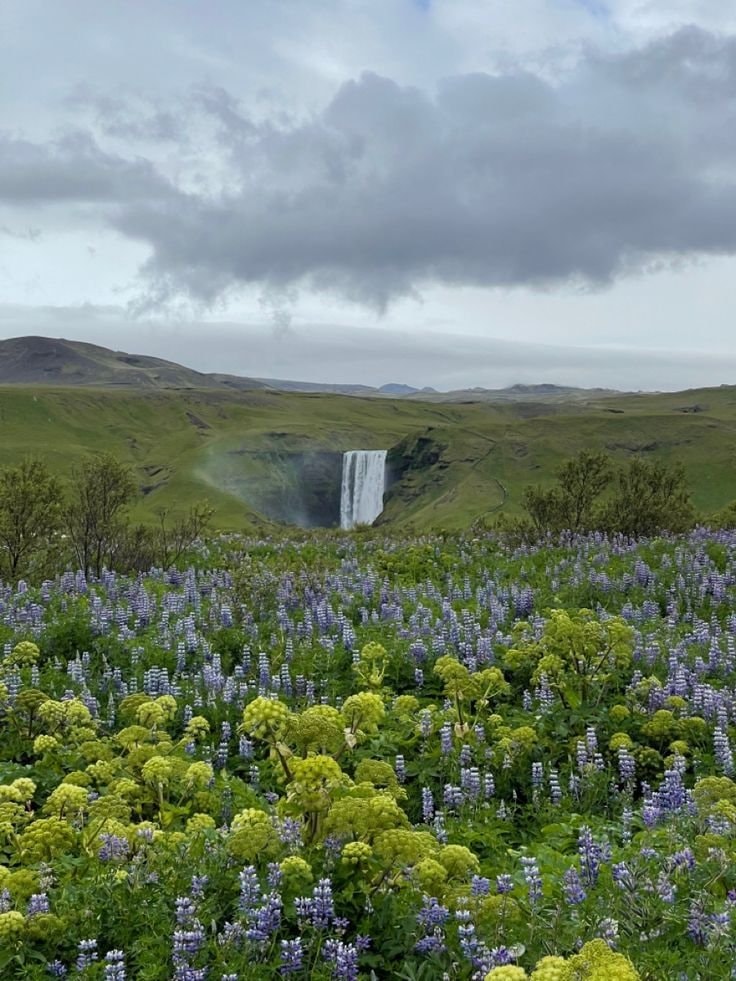Iceland landscape (photo 2 of 4)