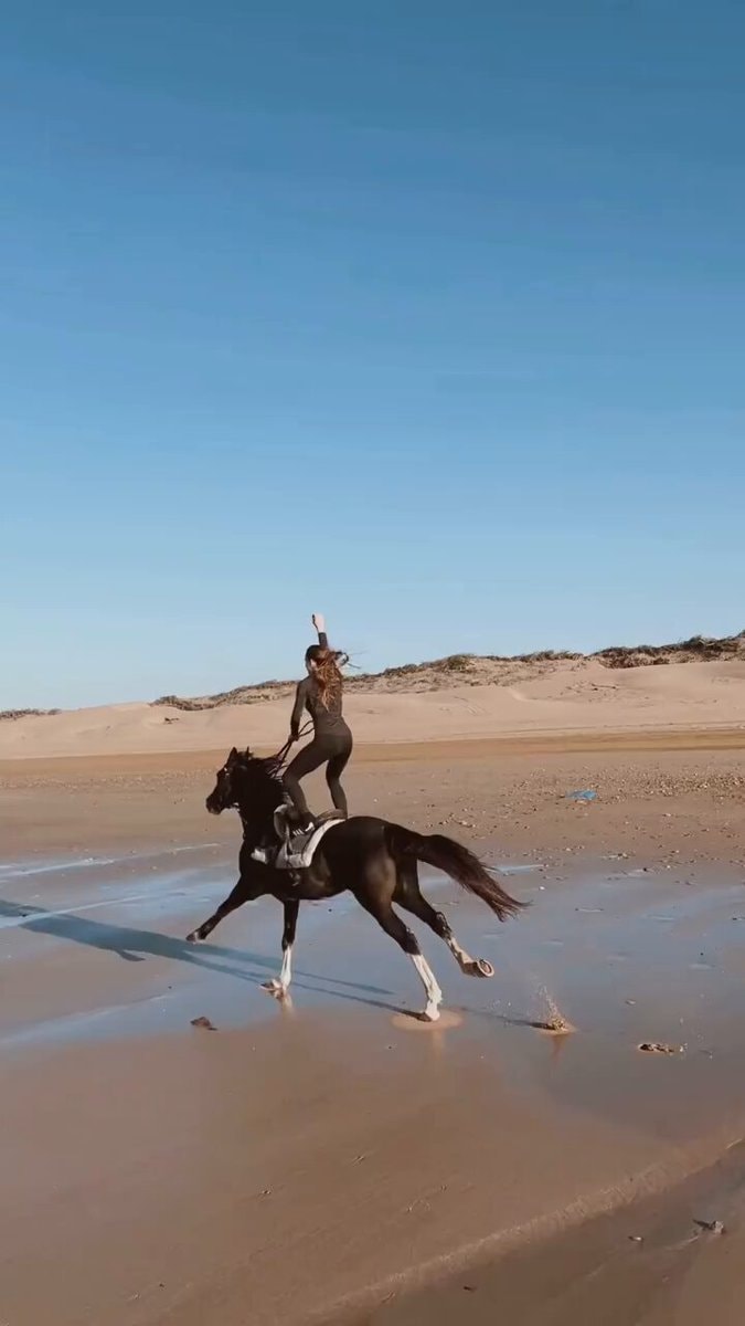Horseback stunt on the beach