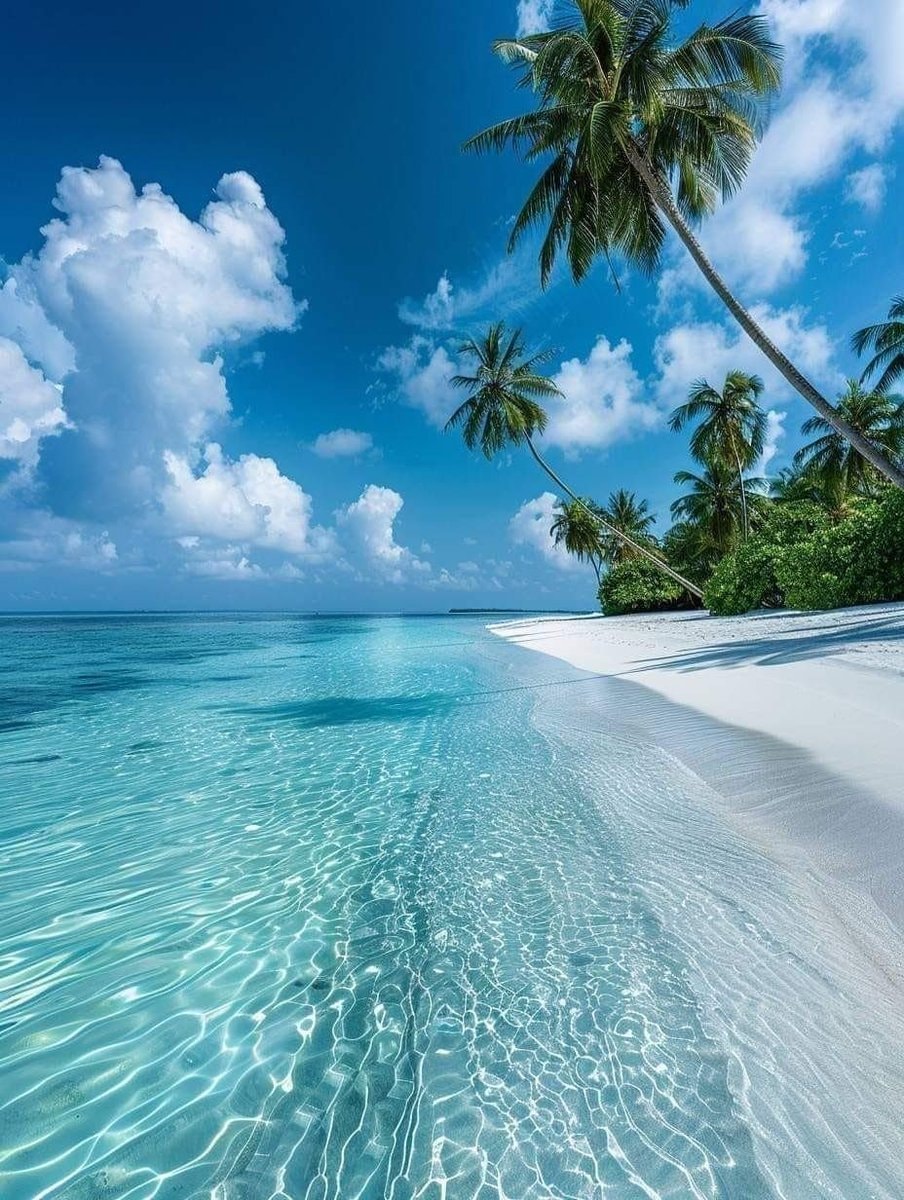 tropical beach scene