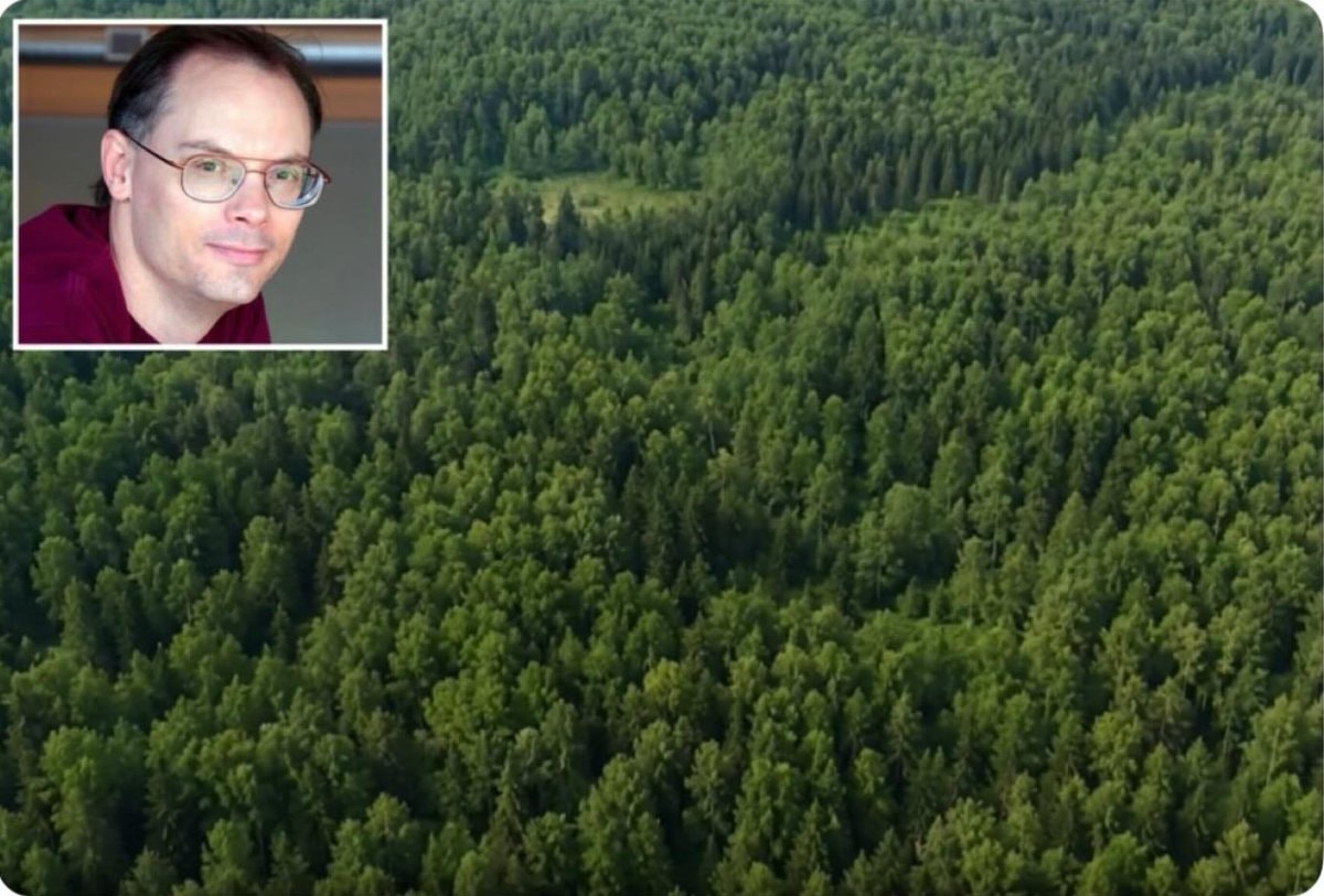 Tim Sweeney forest conservation