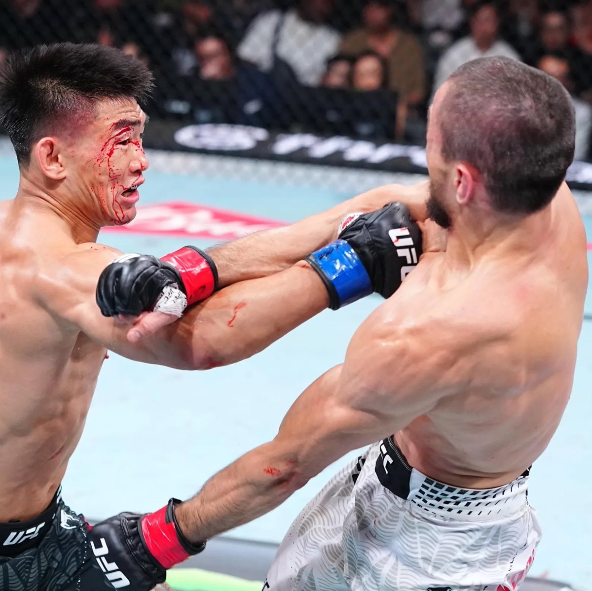 Song Yadong vs Umar Nurmagomedov